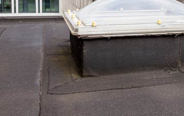 disadvantages of Wainfelin flat roofs