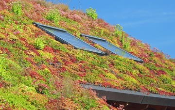 Wainfelin living roof systems