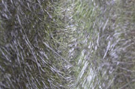 Wainfelin fibreglass roof work